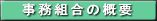�����g���̊T�v